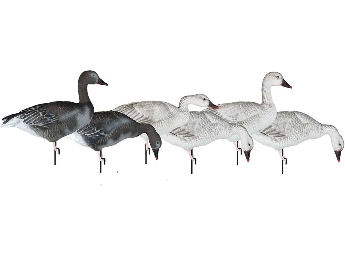 Dakota Decoy Migration Series Snow Juvies Goose Decoys - 6 Pack - Megean