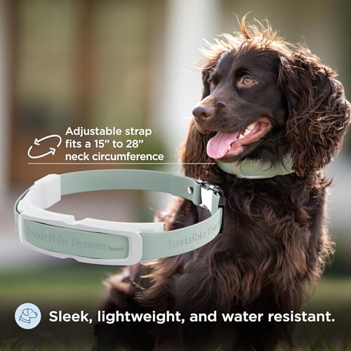 Invisible Fence GPS Dog Fence & Tracking Collar Bundle with Training Flags (White) & Treat Bag (Blue), Wireless GPS Tracker Collar