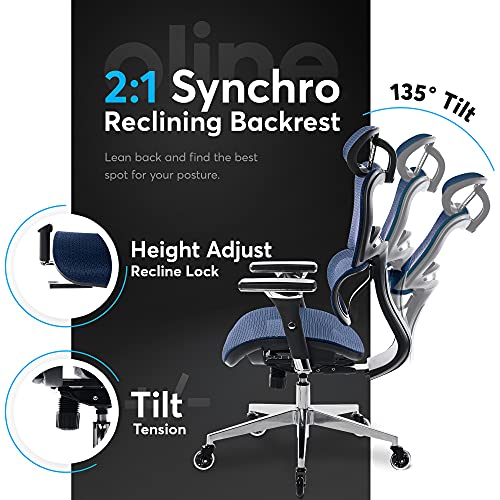 Oline ErgoPro Ergonomic Office Chair, Rolling Desk Chair with 4D Adjustable Armrest, 3D Lumbar Support, Blade Wheels