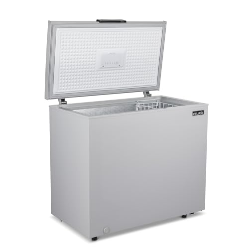 Newair 13.8 cu. ft. Upright Freezer, Fridge Freezer Convertible, Garage Ready Refrigerator, Frost Free Freezer with Door Alarm, Stand up Deep Freezer