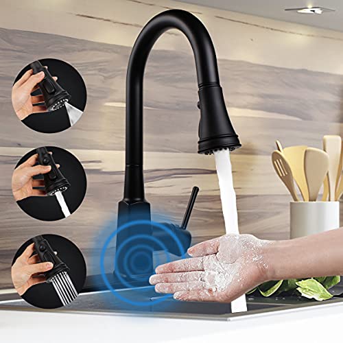 Touchless Kitchen Faucet