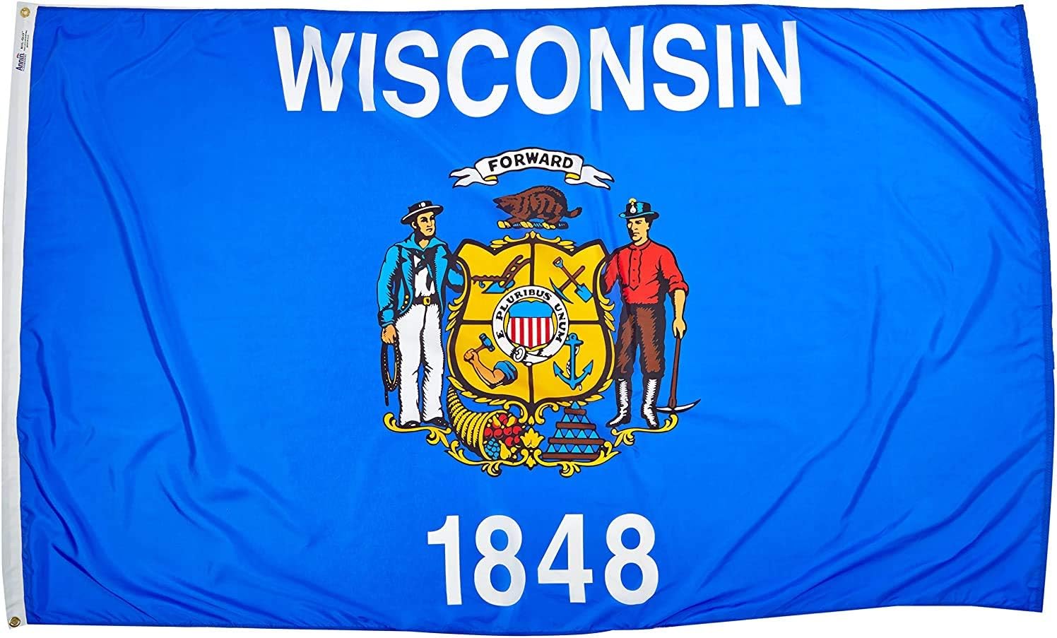 Annin Flagmakers Wisconsin State Yard Flag USA-Made to Official State Design Specifications, (Model 145960)