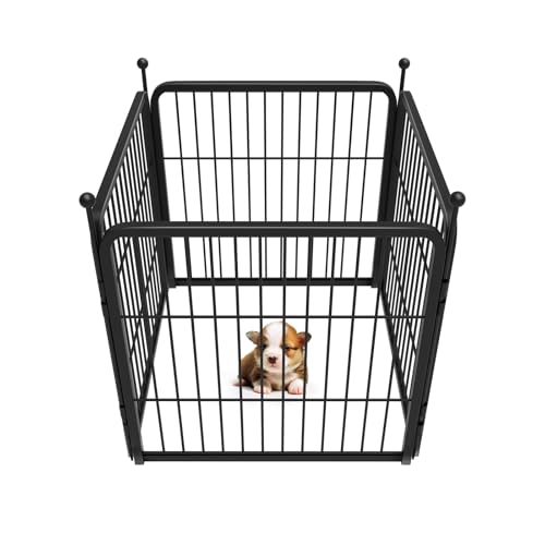 FXW Rollick Dog Playpen for Yard, RV Camping, 32 inch 16 Panels for Small and Medium Dogs│Patented
