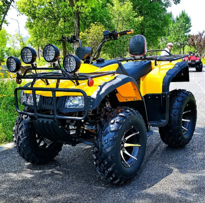 250cc Four-Wheel Drive ATV Quad ATV Farmer Quad Bike