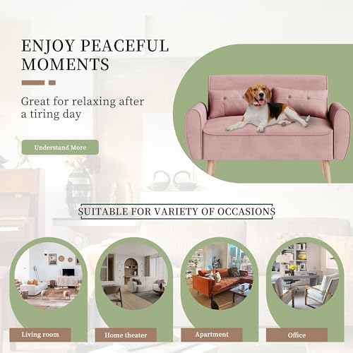 Vongrasig 47" Small Modern Loveseat Sofa