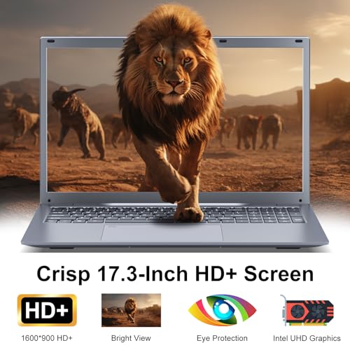 17 17.3 inch HD+ Laptop Computer, 16GB RAM 512GB SSD, Intel Celeron N5095(Up to 2.9Ghz), Wi-Fi, HDMI, Webcam, Backlit Keyboard, Fingerprint