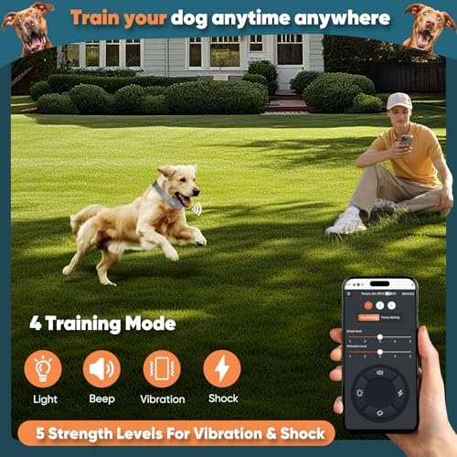 GPS Electric Dog Fence with Free App, Wireless Fence System with Training Collar, Portable Fence for Outdoor Use