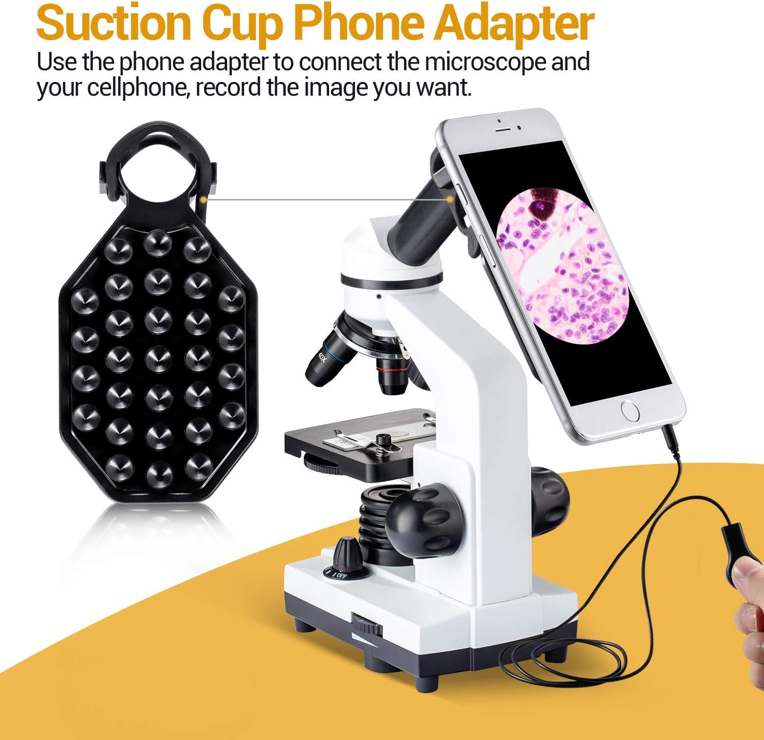 BNISE Microscope for Adults and Kids, 100X-1000X Magnification Lab Compound Monocular Microscopes with Illumination Dual LED