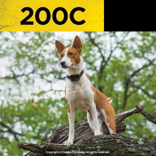 Dogtra Remote Training Collar 2-Dog 202C - Pet Supplies online store