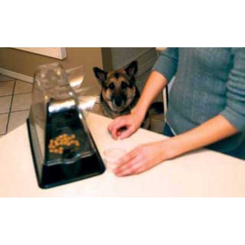 Felines Only the Purrrfect Cat Dish Veterinarian Designed Cat Feeding Bowl that Keeps Dogs Out of the Cat Food - Pet Supplies online store