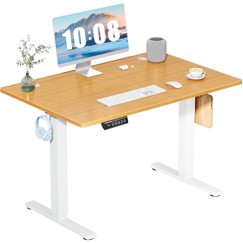 Standing Desk, Adjustable Height Electric Sit Stand Up Down Computer Table