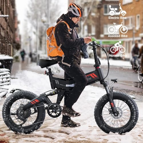 Wooken Electric Bike, 20''X4.0 Fat Tire Electric Bike for Adults,500W(Peak 750W) Foldable Electric Bike with 48V 10Ah Battery,Professional 7 Speed
