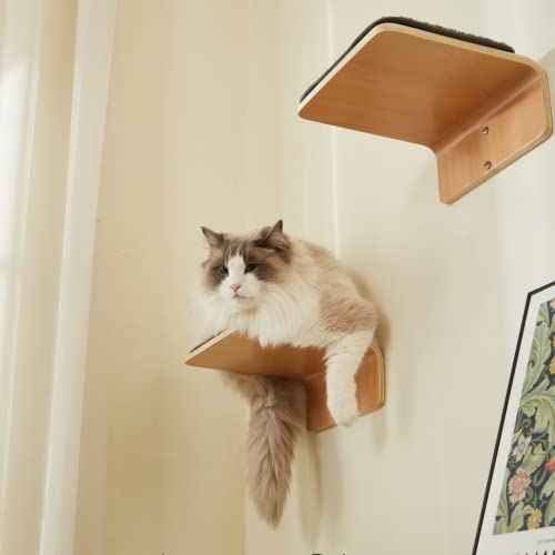 Cat Wall Shelf with Two Steps - Wave Cat Shelves and Perches for Wall - Wall Mounted Cats Furniture for Sleeping, Playing, Climbing, and Lounging