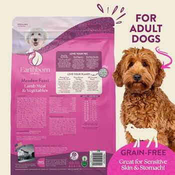 Earthborn Holistic Grain Free Dry Dog Food Meadow Feast - Pet Supplies online store