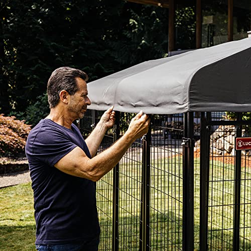 Stay Series 4 by 4 by 4.3 Feet Studio Jr. Black Powder Coat Steel Frame Outdoor Dog Kennel with Waterproof Canopy Roof and Gate Door, Khaki