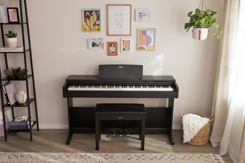 Yamaha Arius, 88-Key Weighted Action Digital Beginner and Intermediate Players, Dynamic Response, Grand Piano Sound, 3-Pedal Unit, Upright Design