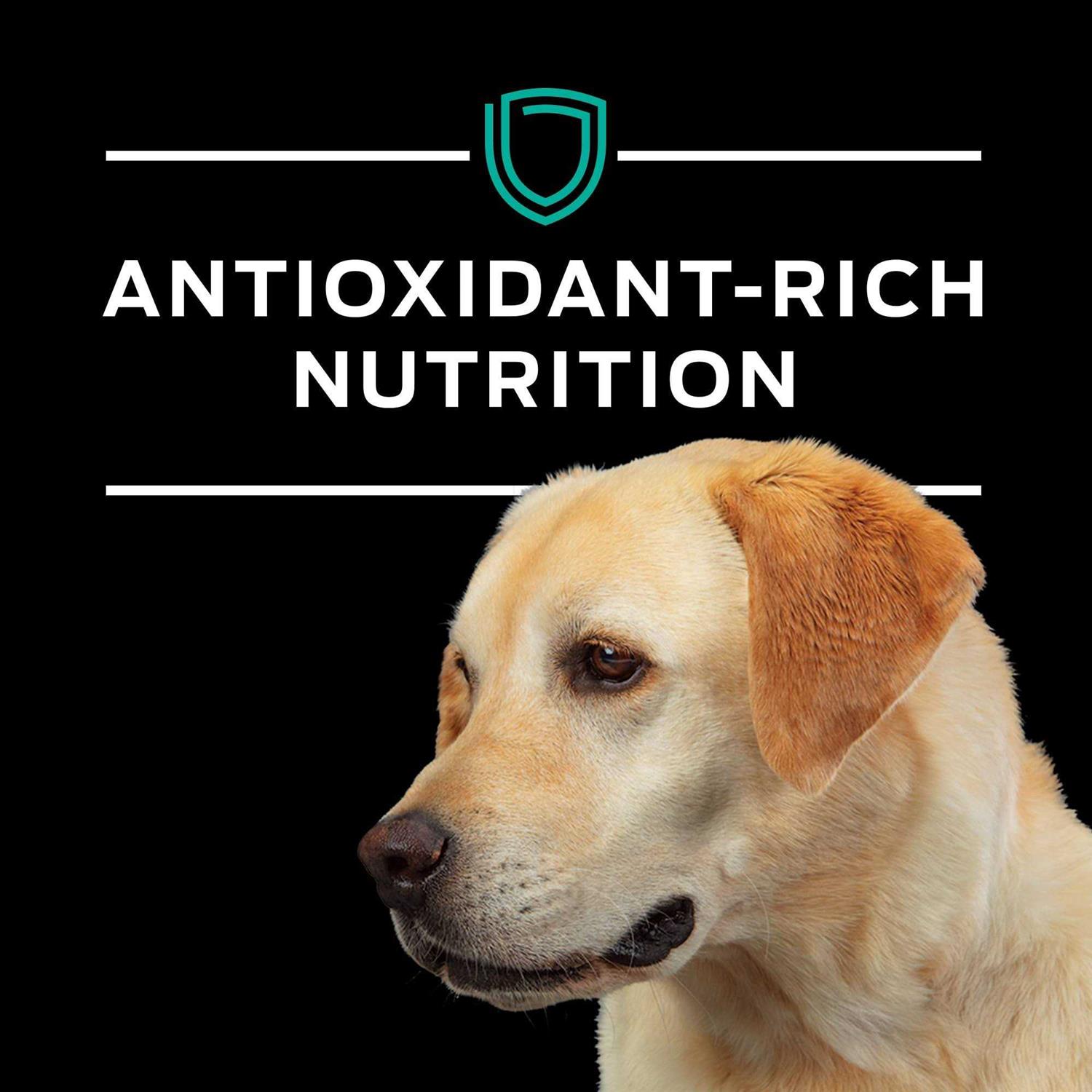 Purina Pro Plan Veterinary Diets EN Gastroenteric Formula Dry Dog Food - Pet Supplies online store