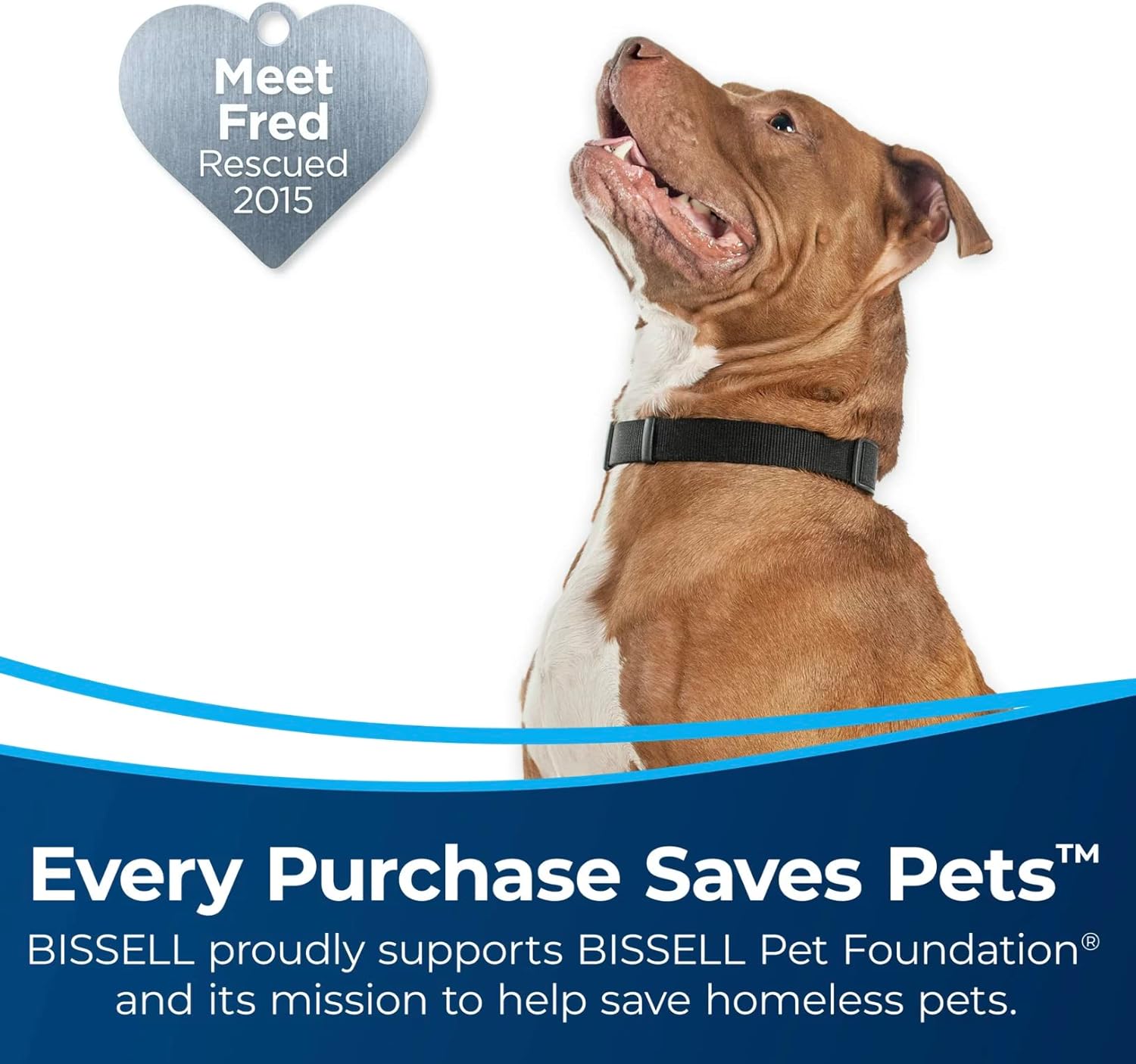Bissell Pet Hair Eraser Slim 2921 - Cordless Stick Vacuum Cleaner for Home & Pet Hair Removal, Lightweight & Versatile, Handheld Conversion