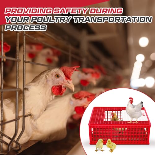 2 Pcs Poultry Carrier Crate 3 Door Chicken Transport Cage Plastic Poultry Carrier Basket Box for Chicken Duck Goose Birds