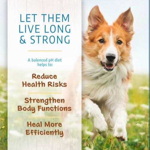 Canine Caviar Open Range Limited Ingredient Alkaline Entree All Life Stages Dry Dog Food - Pet Supplies online store