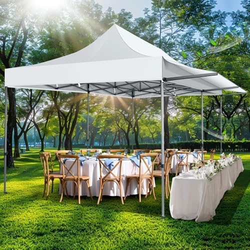 COBIZI 10x10 Pop Up Canopy Tent with Awning