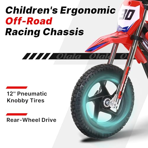 OLALA 36V Electric Dirt Bike for Kids Aged 4-8, Brushless 350W Racing Grade Electric Motorcycle, Up to 18.6MPH & 3 Speed Settings, Dual Disc Brakes