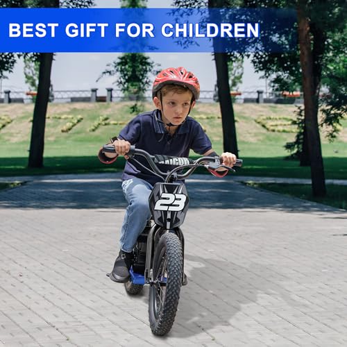 wanan Electric Dirt Bike for Kids 6-12 with Shock-Absorbing Front Fork, 250W Electric Motorcycle Up to 15.5MPH, 24V Detachable Battery, 16''