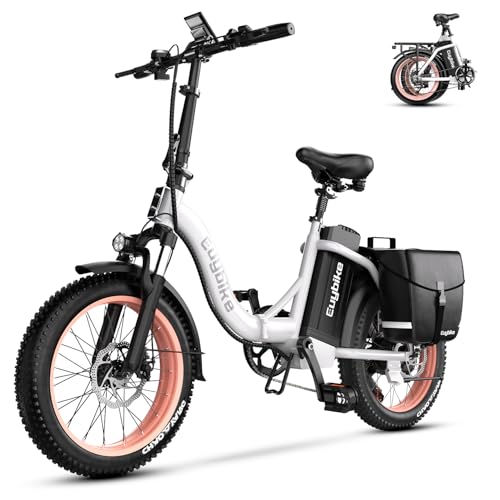 Folding Electric Bike for Adults with Peak 1000W Motor, 48V 20AH Battery up to 30MPH 80 Miles, 20" Fat Tire All Terrain Ebike