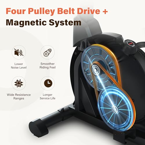 SNODE Magnetic Recumbent Exercise Bike for Home, Recumbent Bike for Seniors