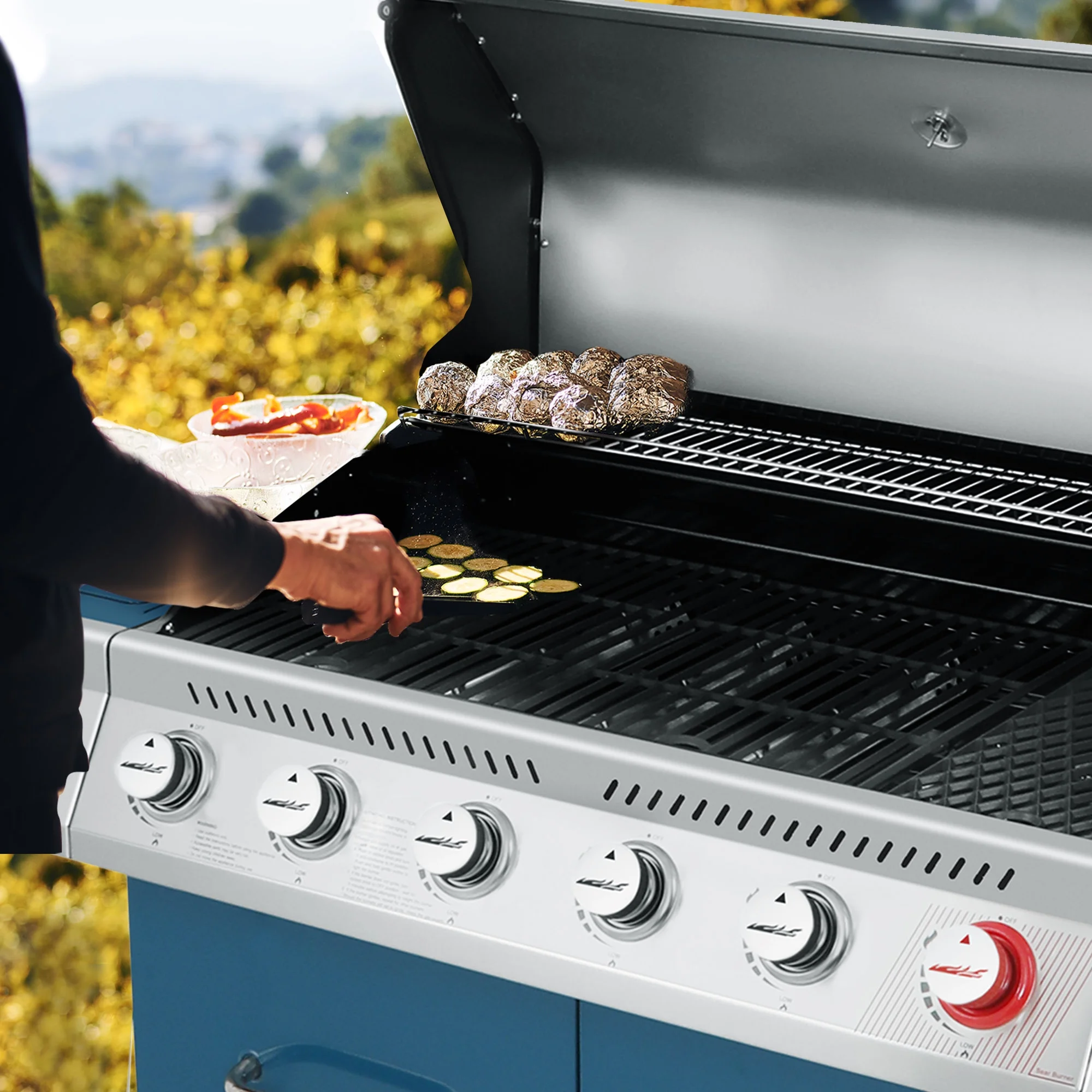 Royal Gourmet GA6402B 6-Burner BBQ Gas Grill with Sear Burner and Side Burner, 74,000 BTU - Radiant Selections