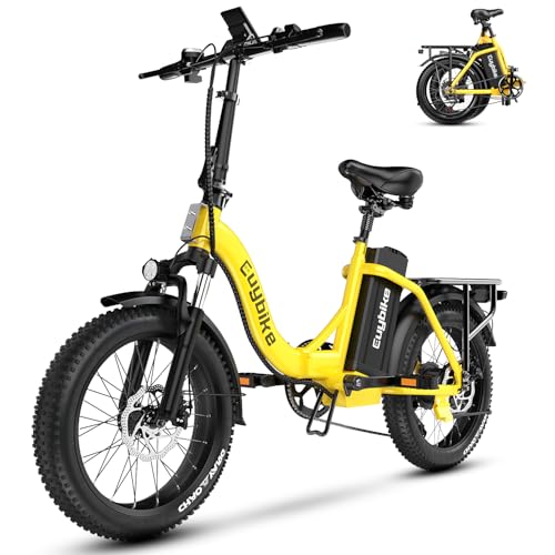 1000W Folding Electric Bike,48V 20AH Removable Battery E Bike,30+MPH,80 Miles Max Range Electric Bike for Adults,20" Fat Tire Foldable ebike