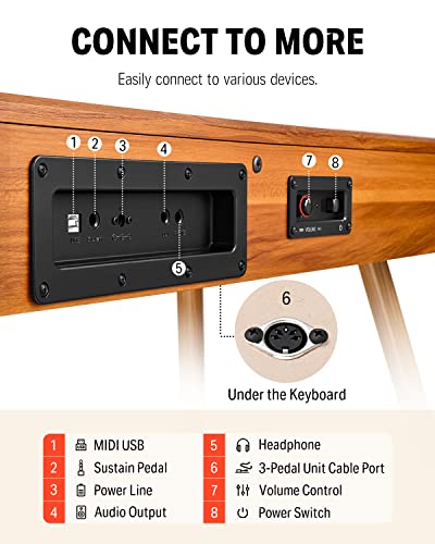 Donner DDP-80 PLUS Digital Piano 88 Key Weighted Keyboard, Home Electric Piano, Supports USB-MIDI & Headphones Connection, Semi-open Cover Designed