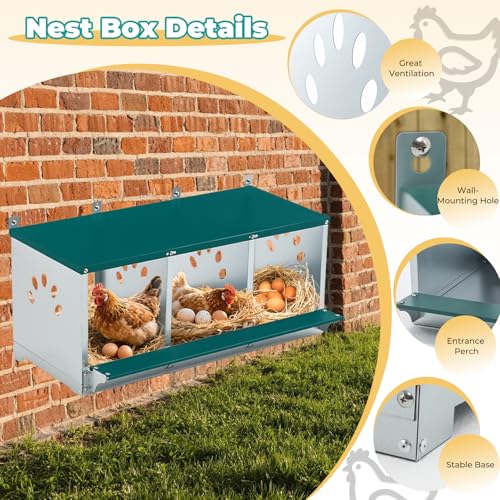 Chicken Coop Nesting Boxes, Wall Mountable Metal Chicken Nesting Box, Easy Egg Collection Roll Away Nesting Boxes Chicken