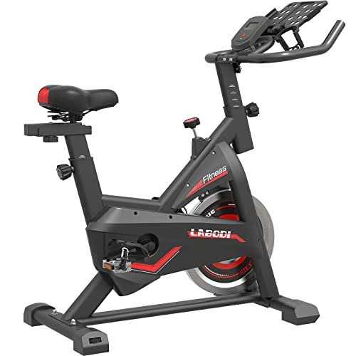 Goflyshine Exercise Bikes Stationary,Exercise Bike for Home Indoor Cycling Bike for Home Cardio Gym,Workout Bike with Ipad Mount &amp; LCD Monitor