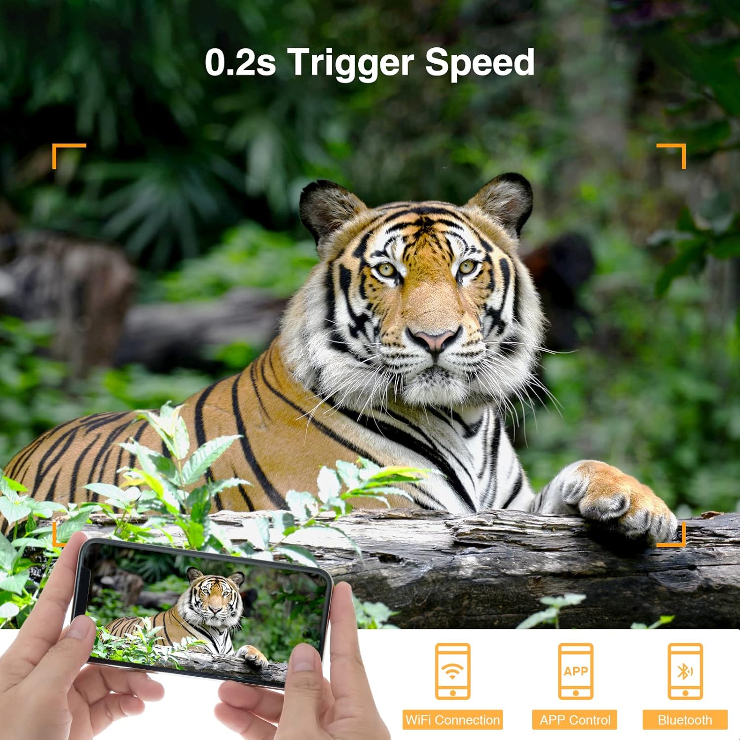 WiFi Bluetooth Trail Camera, 20MP 1296P 2.4” LCD Game Camera，Clear 100ft No Glow Infrared Night Vision