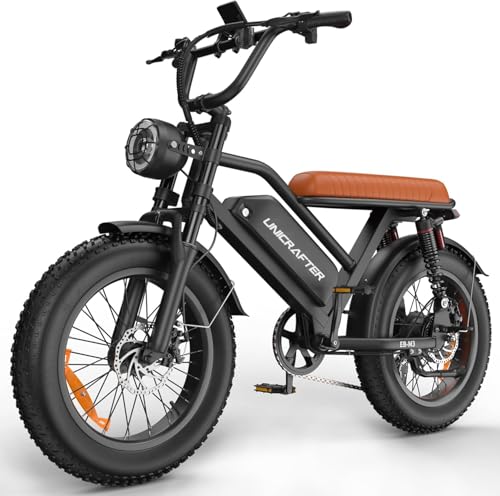 Electric Bike for Adults