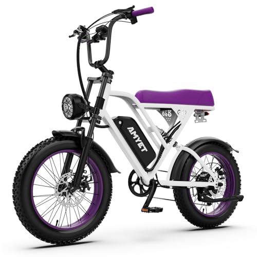 V9-G60 Peak 1500W Ebike, 48V 20Ah(960WH) Removable Battery, 72Miles &32MPH,20" Fat Tire Dirt Bike,7 Speed Gears,Dual Shock Absorber