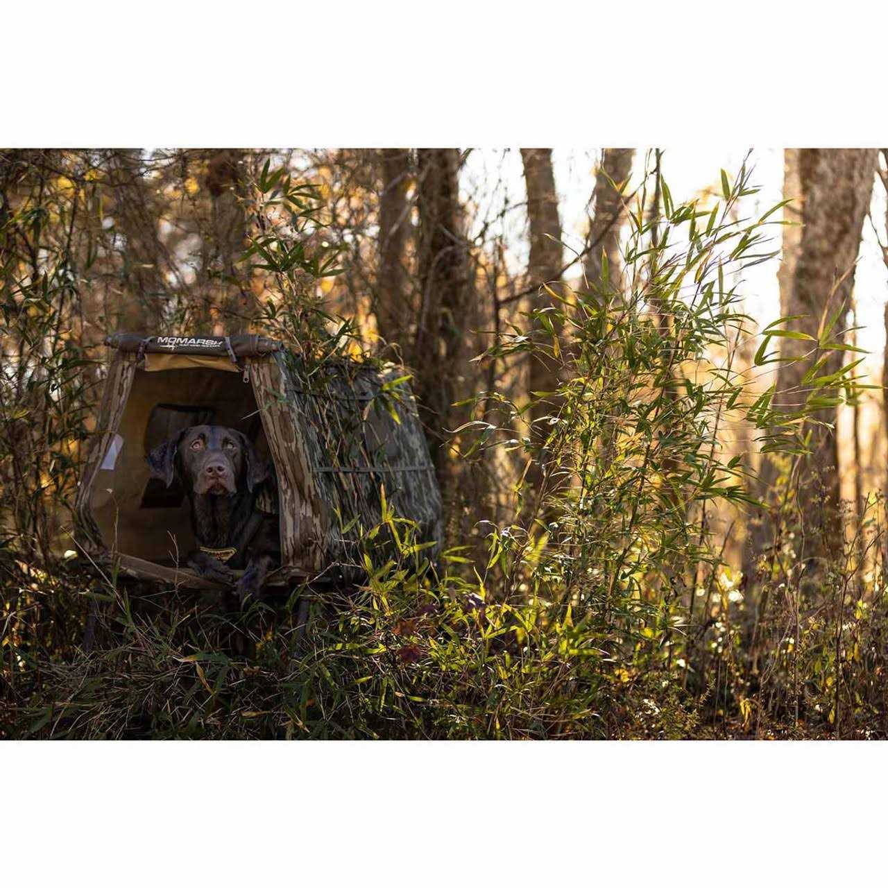 MOmarsh Invisi-Lab Dog Blind - Sports Supplies Online Store