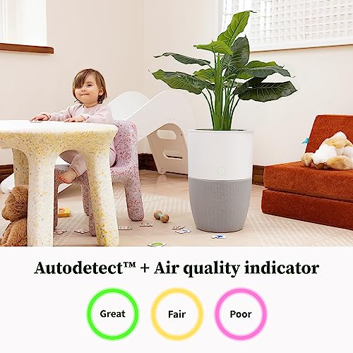 Dupray Bloom™ Air Purifier for Large Rooms with Planter or Custom Accent Table Design | For Home, Bedroom, Office, Dust