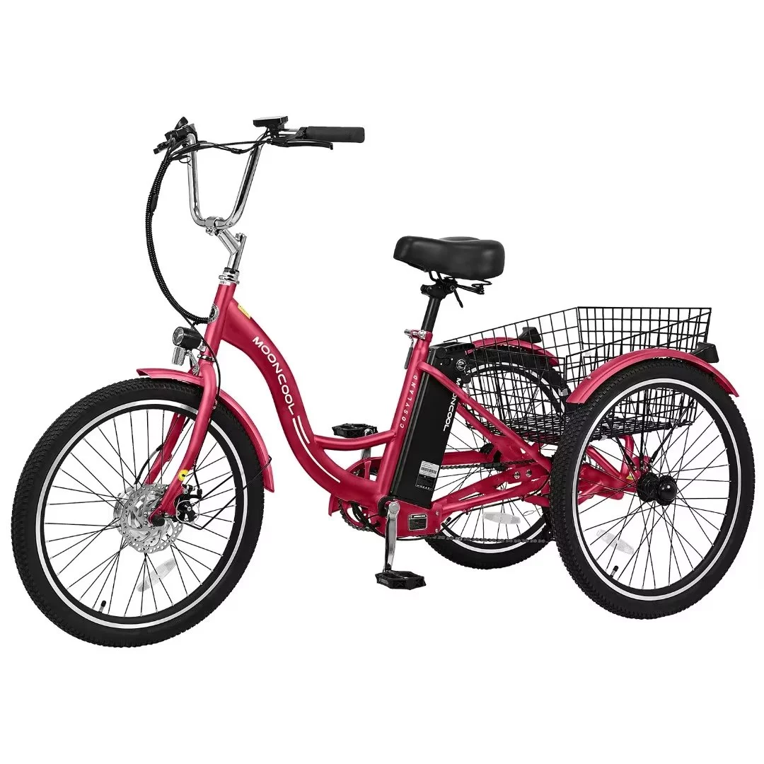 NAIZEA 24 3 Wheel Electric Bike for Senior, 350w Adults Electric Trike, Three Wheel Ebike Bicycle with Removable 36V 10Ah Lithium Battery