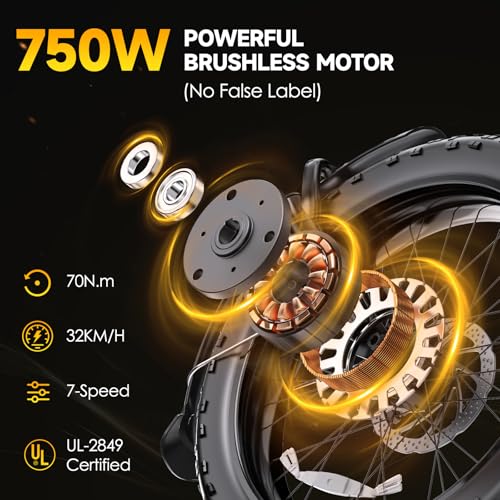 Electric Bike for Adults 20" Fat Tire,750W Motor 52V 13AH Removable Battery Max Range 35 Miles,28MPH