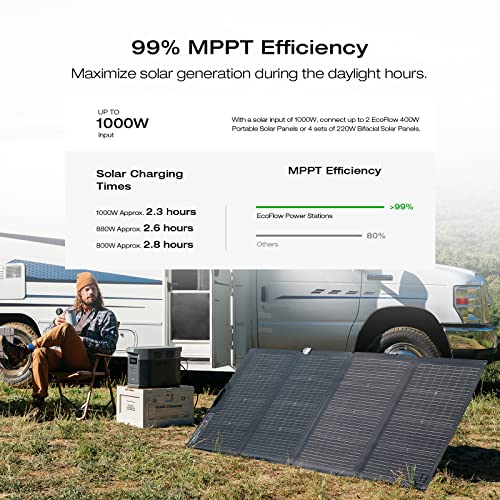EF ECOFLOW DELTA 2 MAX Power Station - Radiant Selections