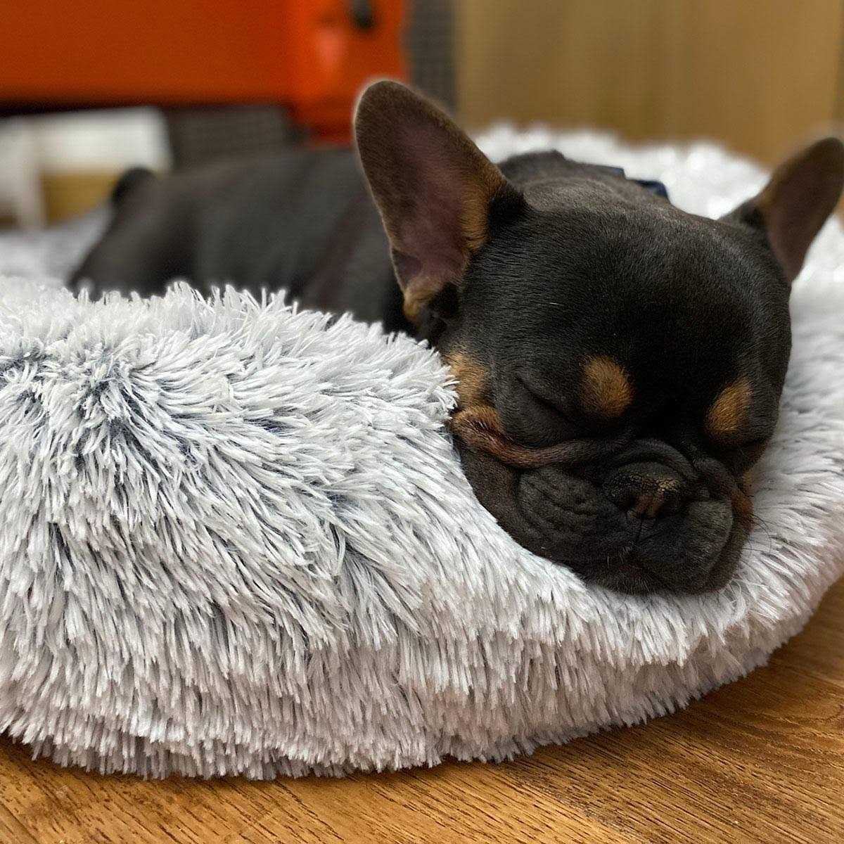 Tall Tails Dream Cuddle Bed Frosted - Pet Supplies online store