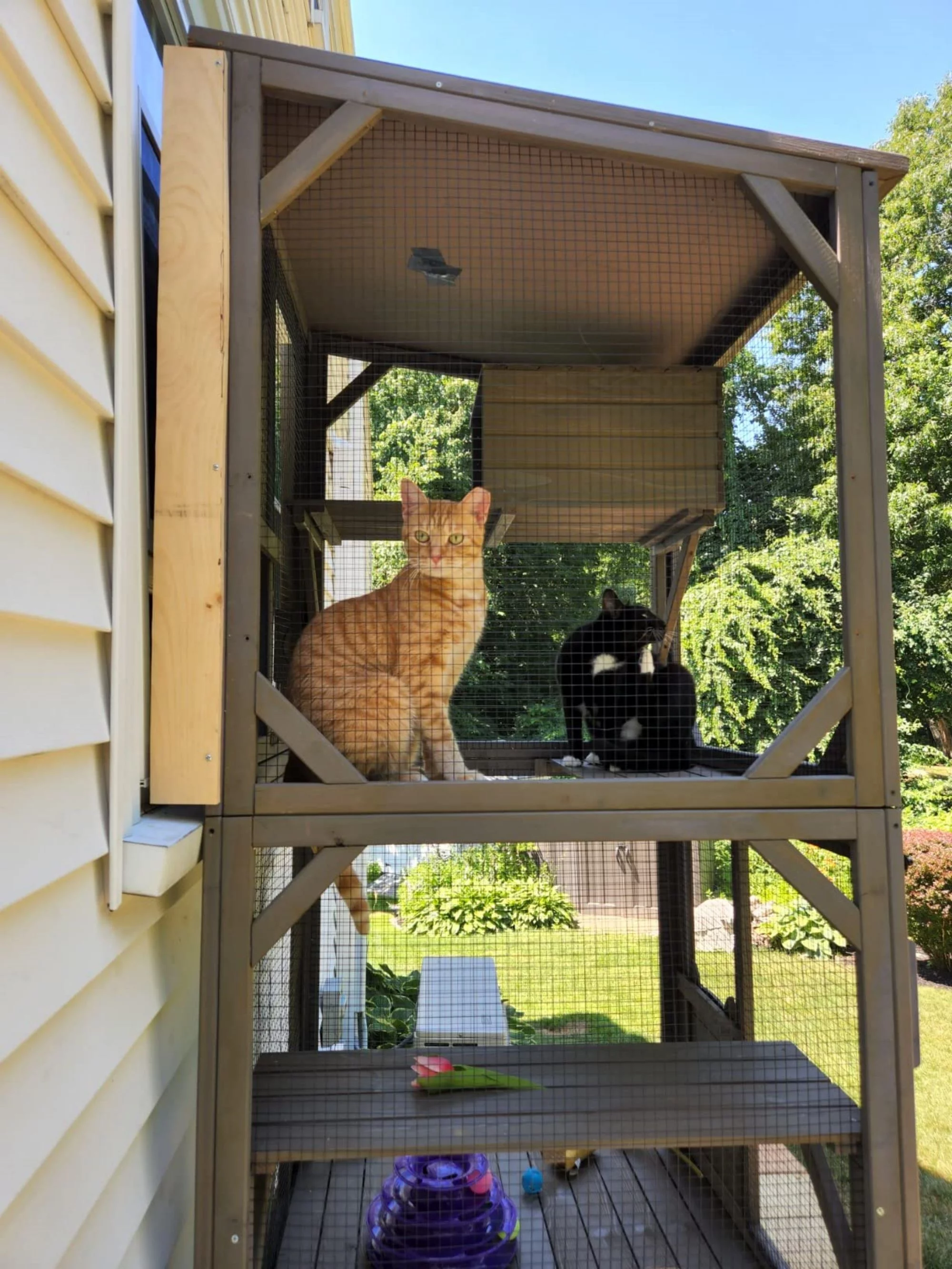 Morgete Catio Outdoor Cat House Wooden Cat Enclosure Resting Box with 3 Platforms, 71 inch Kitten Condo