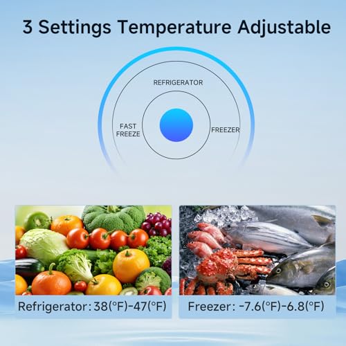 BANGSON Upright Freezer,7.0 Cu.ft Stand Up Freezer,Convertible Upright Freezer/Refrigerator,Single Door for Kitchen,Office,Apartment,White
