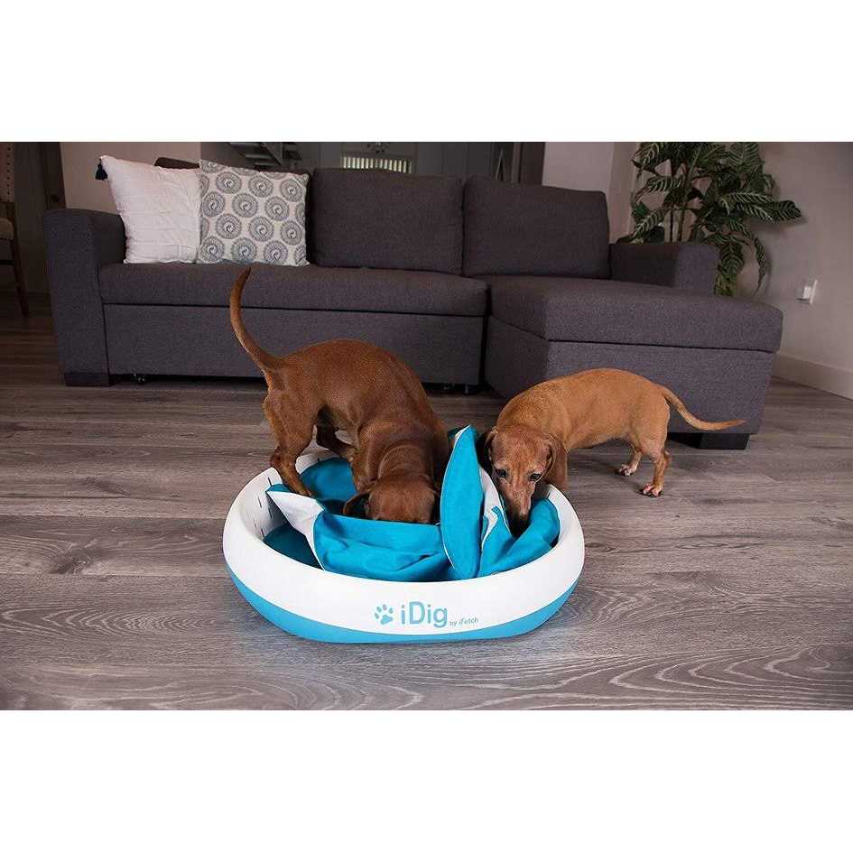 iFetch iDig Stay Dog Toy - Pet Supplies online store