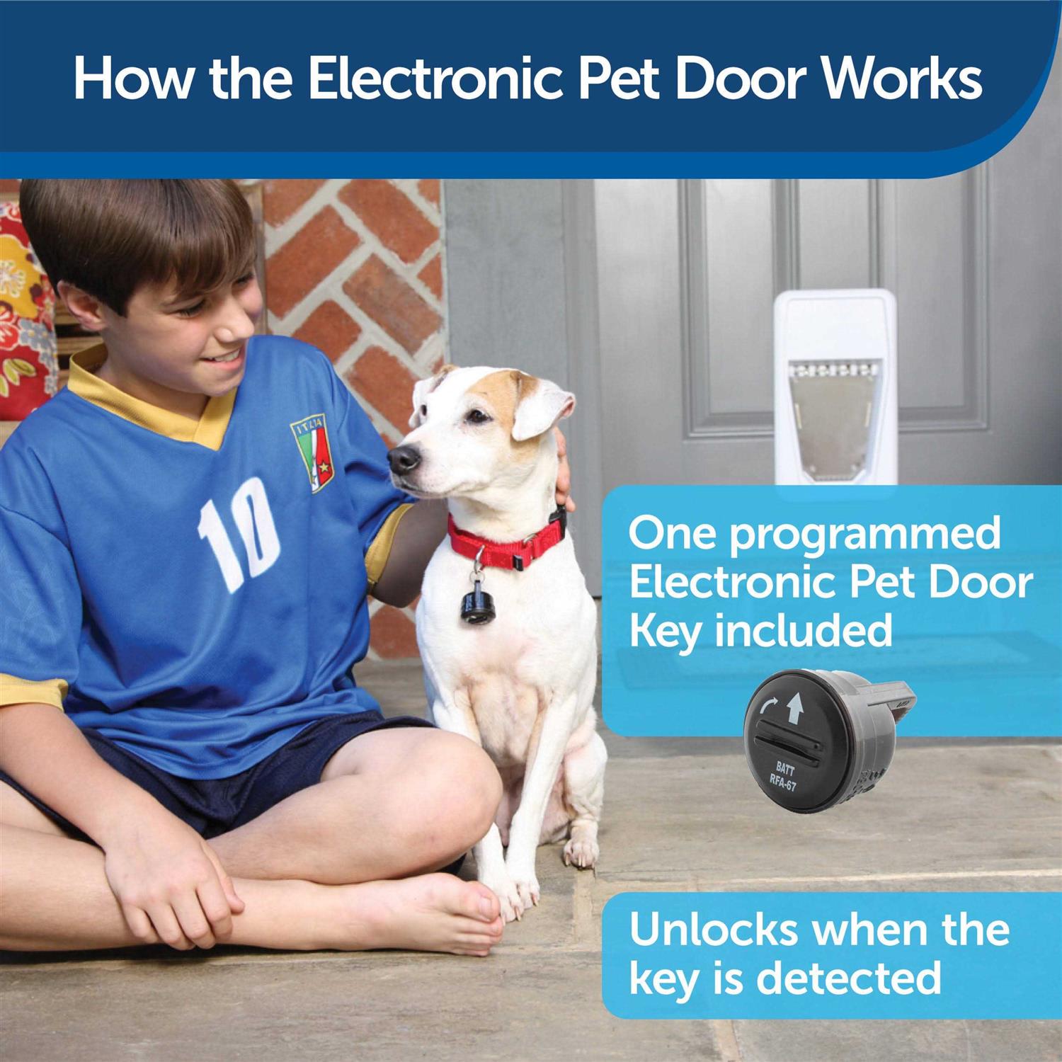 PetSafe SmartDoor Electronic Pet Door - Pet Supplies online store