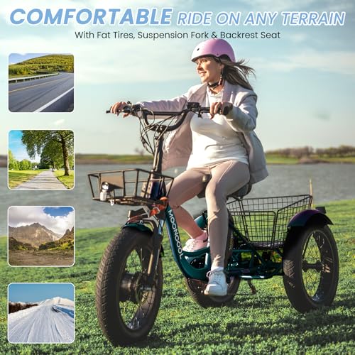 MOONCOOL Electric Tricycle for Adults, 20" x 4" Fat Tire Electric Trike, 48V 500W Motorized Electric Bicycle Bikes