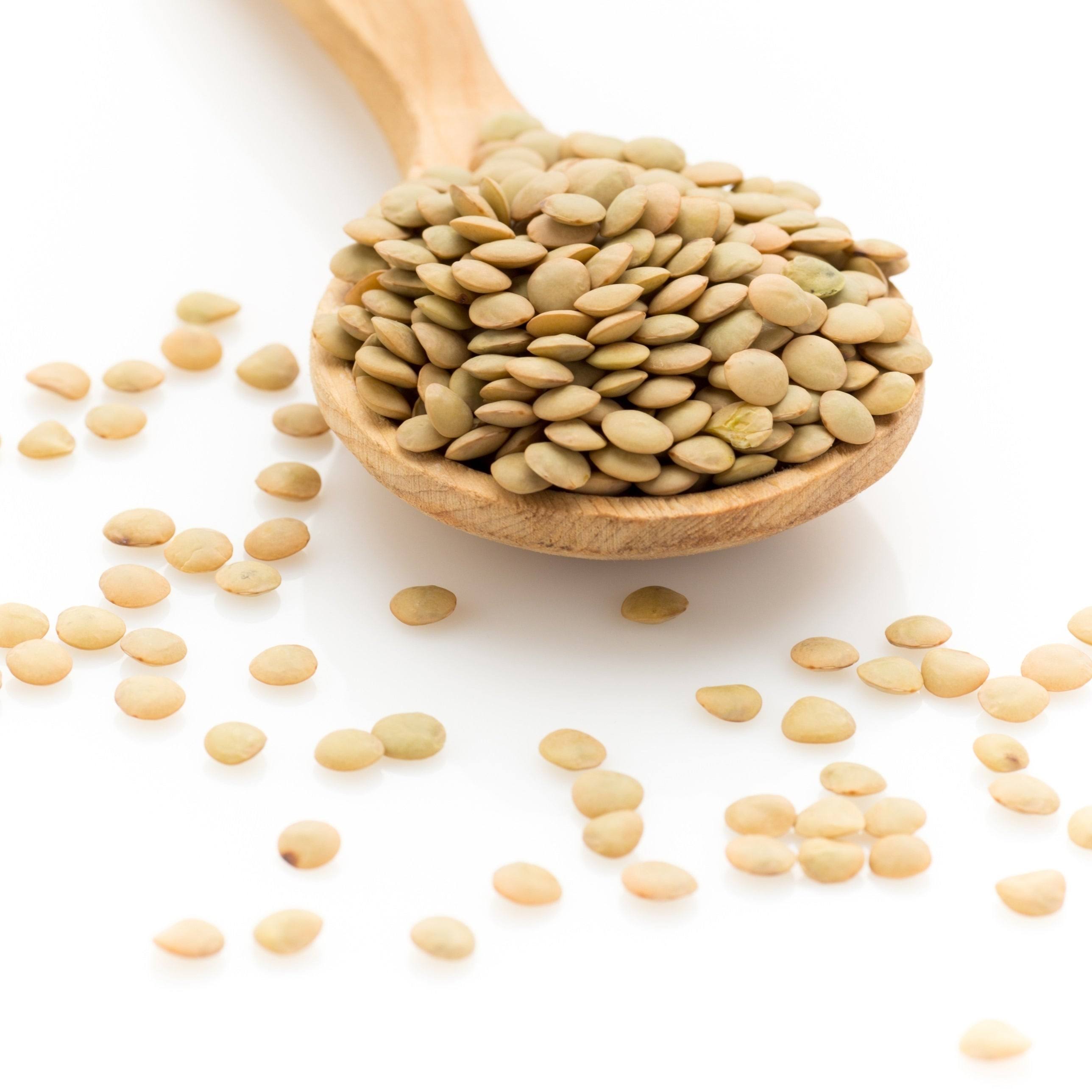 Augason Farms Lentil Beans Emergency Bulk Food Storage 24 Pound 4-gal