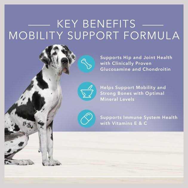 Blue Buffalo True Solutions Jolly Joints Mobility Support Dog Food - Pet Supplies online store